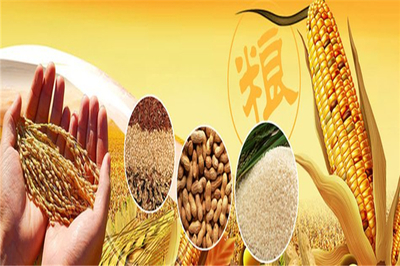 豐園農副食品 深耕糧食加工，守護百姓餐桌安全與營養