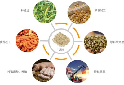 谷實生物成功完成創業板上市輔導，2020年營收突破17億元，糧食加工食品生產領域再添強將
