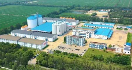 盤錦好糧香飄四海，盛會讓利惠聚八方——探訪糧食加工食品產業的“沃土”